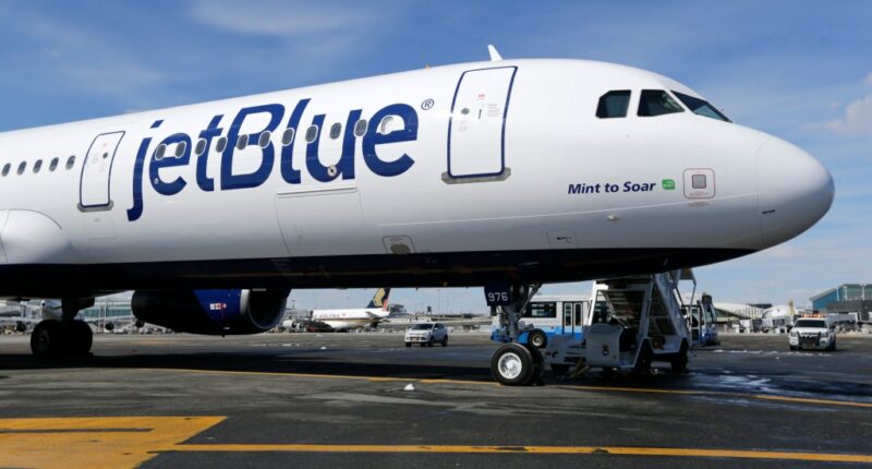 Newark-bound JetBlue passengers hospitalized after emergency landing in Tampa