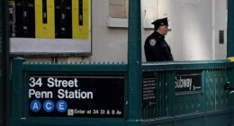 Newborn found with umbilical cord attached in Penn Station, police hunt for parents