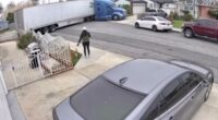 Newsom's CDL system slammed after video shows trucker destroying gate