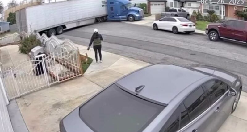 Newsom's CDL system slammed after video shows trucker destroying gate