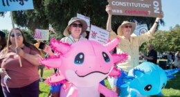 'No Kings' protests largely comprised of people from one demographic: experts