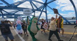 'No Kings' protests take place in Jacksonville, Florida