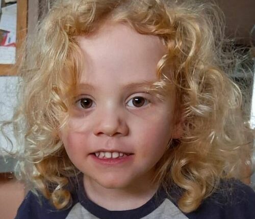 Missing four-year-old Gus