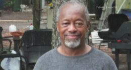 No leads after veteran hit-and-run
