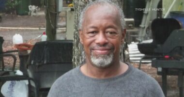 No leads after veteran hit-and-run