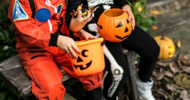 No tricks, just treats: Champaign Co. announces trick-or-treat hours