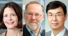 Nobel Prize for discovering how immune system is kept in check