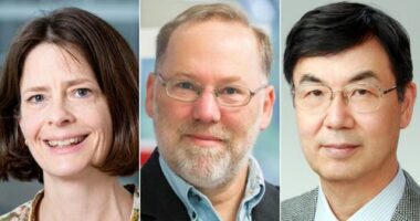 Nobel Prize for discovering how immune system is kept in check
