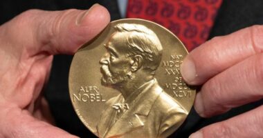 Nobel Prize in medicine goes to 3 scientists for work on peripheral immune tolerance