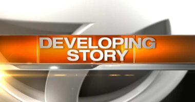 North suburban residents, Congressman Brad Schneider speak out on escalating immigration enforcement in Lake County | LIVE