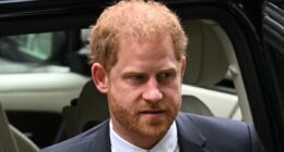 Now Harry appears to blame his own lawyer for William being 'dragged' into his legal battle with the Mail