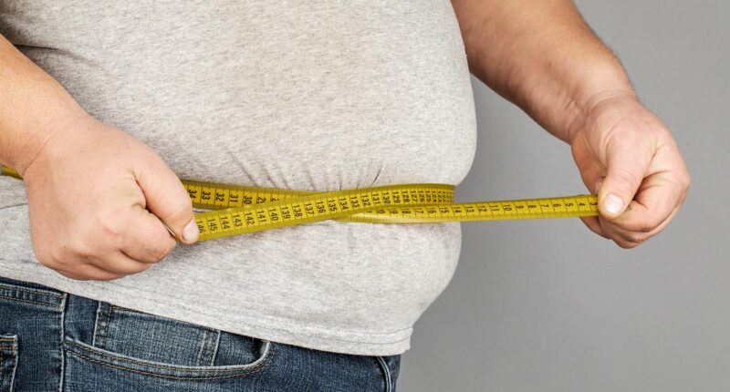 Now scientists redefine 'obese' - and they've made up to 60% more people 'fat'