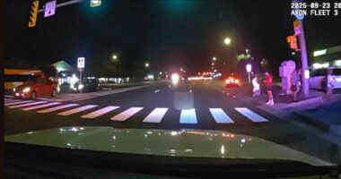 Officer ran over pedestrian who was hit by a car: Police