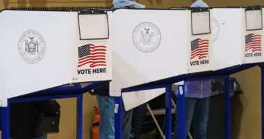 Older residents make up slim majority at the polls halfway through early voting in NYC mayoral race