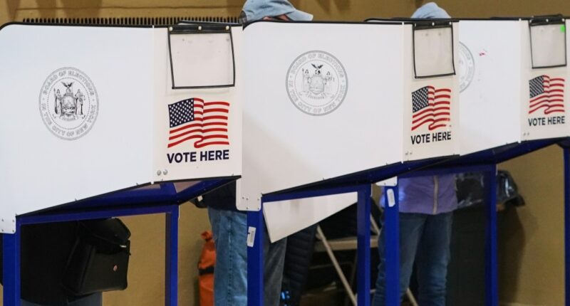 Older residents make up slim majority at the polls halfway through early voting in NYC mayoral race