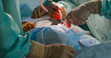Organ harvesting SURGES in woke dystopia pushing euthanasia as a cure for depression