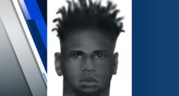Orlando police release sketch of person sought in sex battery case