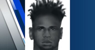 Orlando police release sketch of person sought in sex battery case