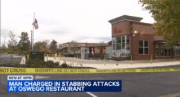 Oswego, Illinois Chick-fil-A: Darryl Lee Jr., 19, charged with murder in stabbing attacks at restaurant on Route 34, officials say