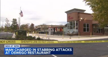 Oswego, Illinois Chick-fil-A: Darryl Lee Jr., 19, charged with murder in stabbing attacks at restaurant on Route 34, officials say
