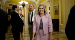 Outrageous cost of costumed government MASCOTS revealed