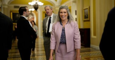 Outrageous cost of costumed government MASCOTS revealed