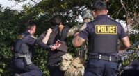 Over a dozen arrested at anti-ICE protests in Chicago suburb