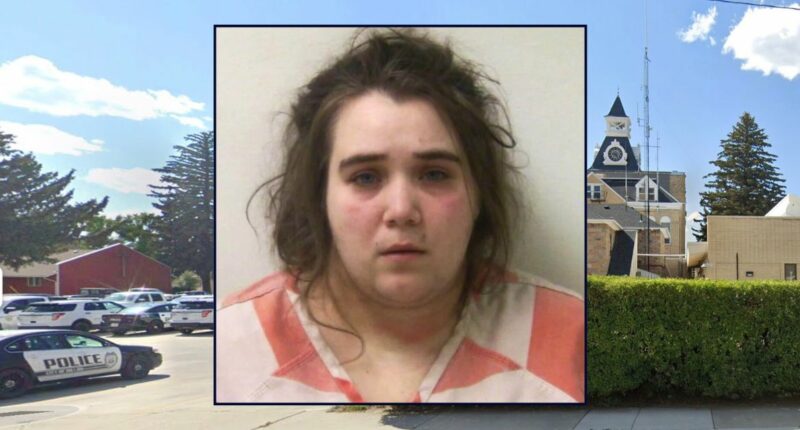 'Overwhelmed' mom stopped giving toddler food, water: Cops