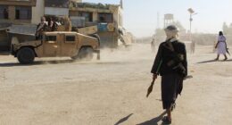 Pakistan has a history of harboring terrorists, explains Katie Pavlich