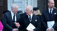 Palace braces for more days of pain over Prince Andrew as King Charles' Vatican visit risks being overshadowed by Virginia Giuffre memoir