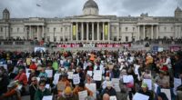 Palestine Action CAN challenge status as terror organisation