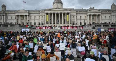Palestine Action CAN challenge status as terror organisation