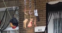 Palestinian refugee attacks 'white people' for erecting Halloween decorations months after her family arrived in Canada from Gaza