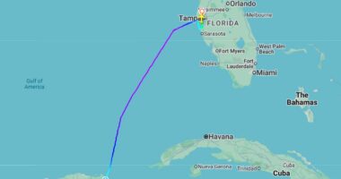 Panic as passengers injured after JetBlue plane's altitude DROPS