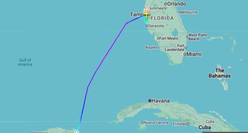 Panic as passengers injured after JetBlue plane's altitude DROPS