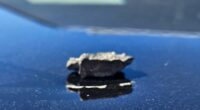 Patrol car struck by shrapnel after Marine Corps live-fire mishap