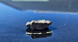 Patrol car struck by shrapnel after Marine Corps live-fire mishap