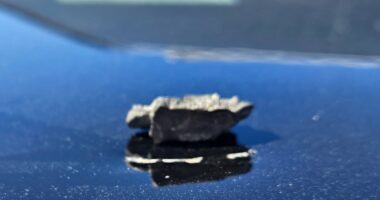 Patrol car struck by shrapnel after Marine Corps live-fire mishap