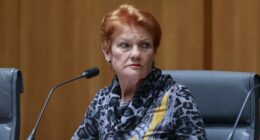 Pauline Hanson changes party name as polling support surges