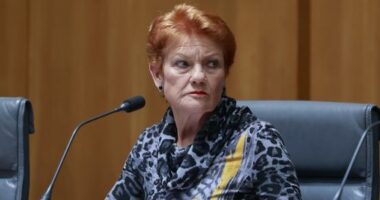 Pauline Hanson changes party name as polling support surges