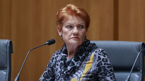 Pauline Hanson changes party name as polling support surges