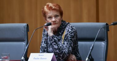 Pauline Hanson demands end to Palestinian Visas as Gaza War ends