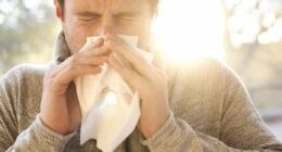 Pharmacist shares warning signs of antihistamine withdrawals - and how to stop using summer-saving hayfever drugs safely