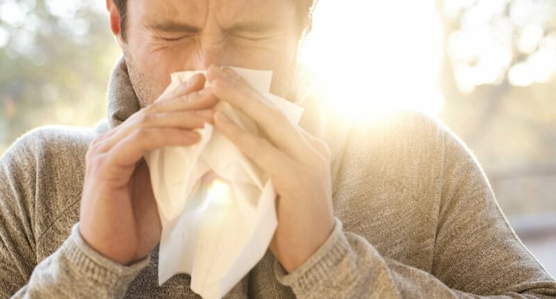 Pharmacist shares warning signs of antihistamine withdrawals - and how to stop using summer-saving hayfever drugs safely