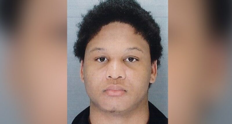 Philly teen gets up to 10 years in prison for high-speed, stolen car chase