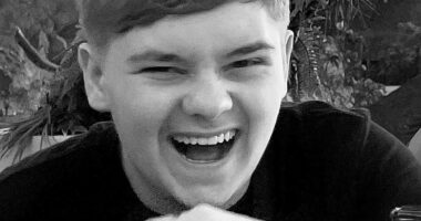 Pictured: Schoolboy, 15, who stabbed Harvey Willgoose to death