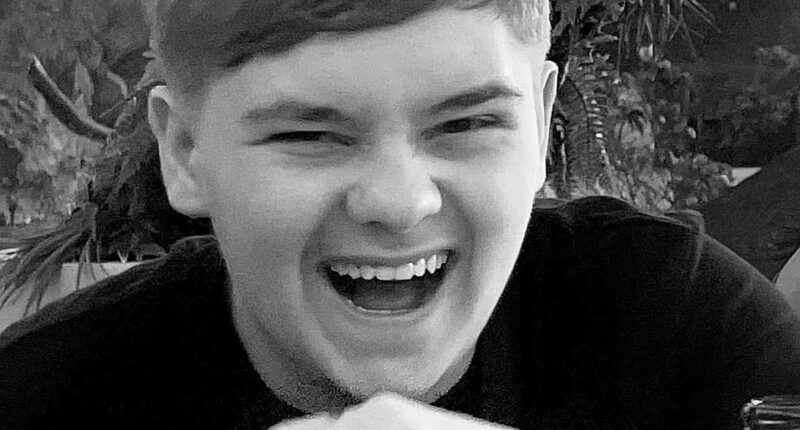 Pictured: Schoolboy, 15, who stabbed Harvey Willgoose to death