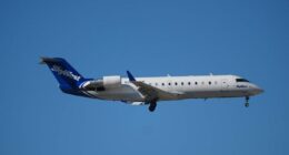 Pilots mistakenly thought someone was trying to breach cockpit during American Airlines flight