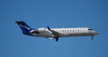 Pilots mistakenly thought someone was trying to breach cockpit during American Airlines flight