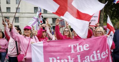 'Pink Lady' anti-migrant protesters descend on Parliament